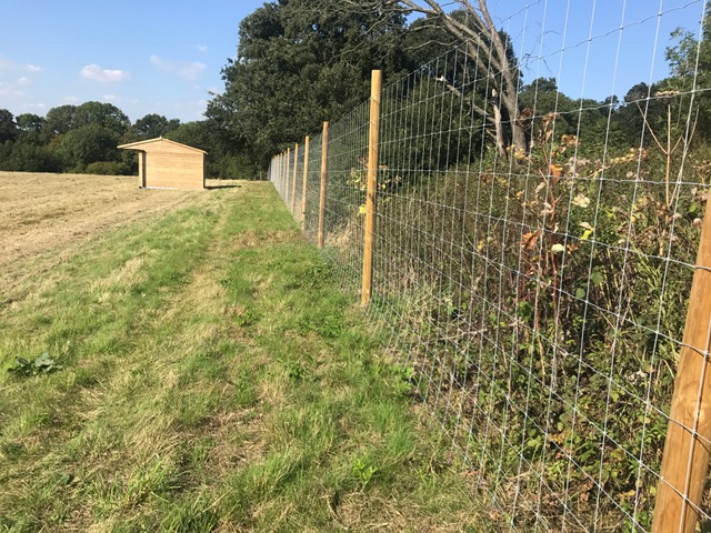 1917 088a5469e24f4c8bdc6e5c2e0abd62dc 1