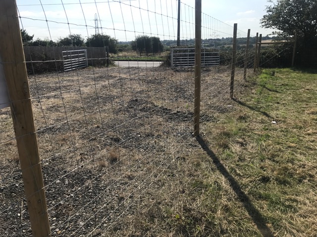 1917 332a43478cb194fceb9917dc5ce46259 1