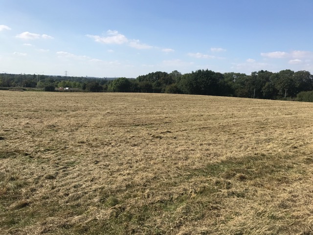 1917 4d1bfcb281fe2abc1938828ae104b592 1