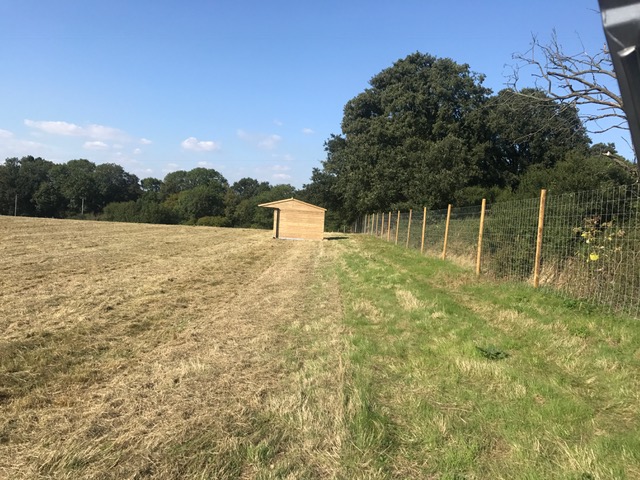 1917 4faac4dc584115e836d7f203a754c416 1