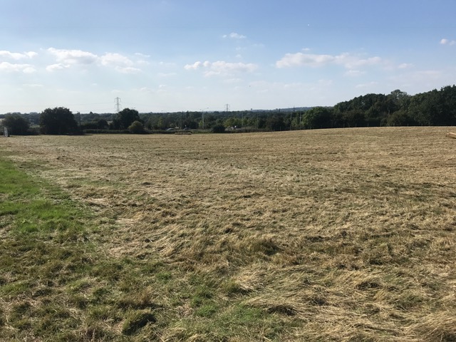 1917 5e0d3ec8f9fcee679d2f6422332da669 1