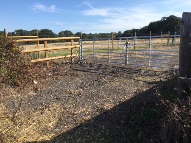 1917 9503c44565b8082f97ed27114e8051c9 1