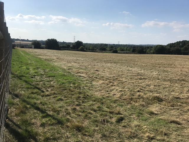 1917 ae4435e42e75cc8d228dbaecf3b85e0b 1