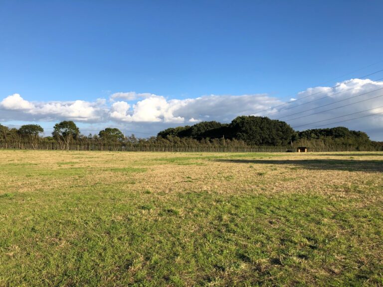 1918 946a5f0e067d3e00cc152f8b82435842 1 768x576