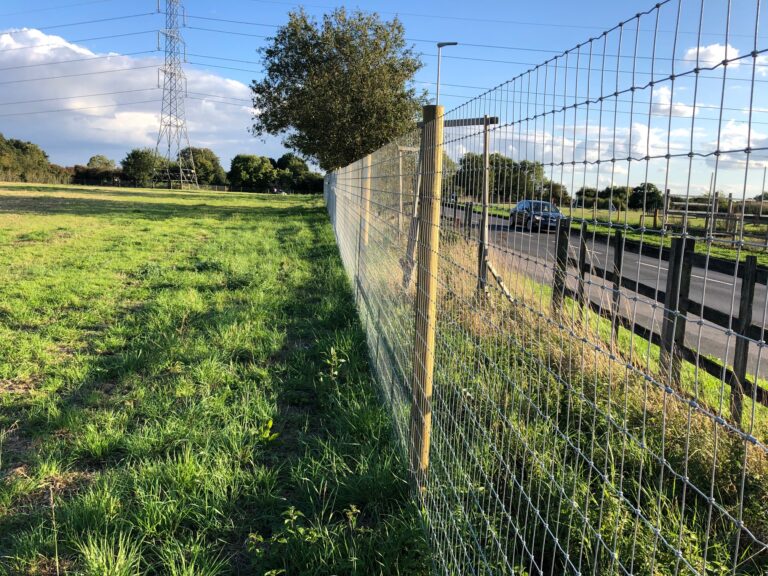 1918 ee951014f39468f65b8e4f7a9cbf4b86 1 768x576