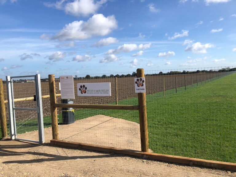 1919 103e6d481c0ae9284cacf349dcf3cf1c 1 768x576