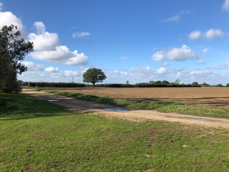 1919 4abf9e5e1fdb99f42d7d3b4bb72dbf21 1 768x576