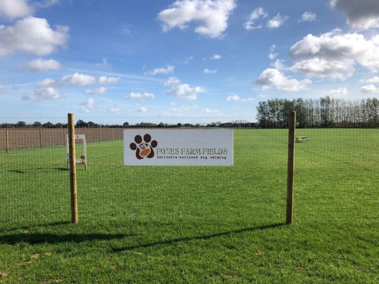 1919 a880be186f329bbe59c6f186b4a869ca 1 768x576