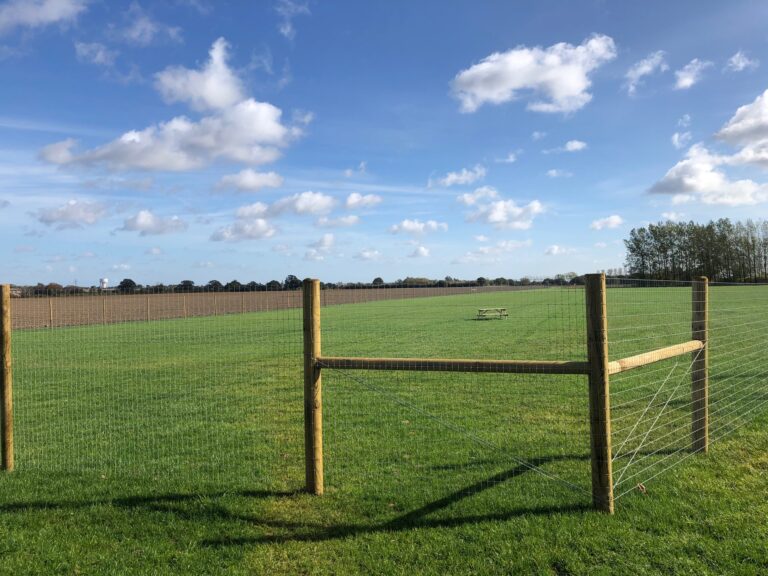 1919 a9a808e55eb6062d211d8e3b6b2895e4 1 768x576