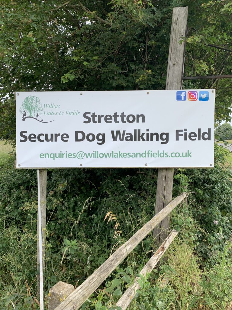 1920 54ada7a82e8c2c1352d355e41847bd27 1 768x1024