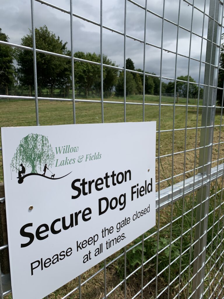 1920 eb05bd68099d9e44c28d7feb1298706a 1 768x1024