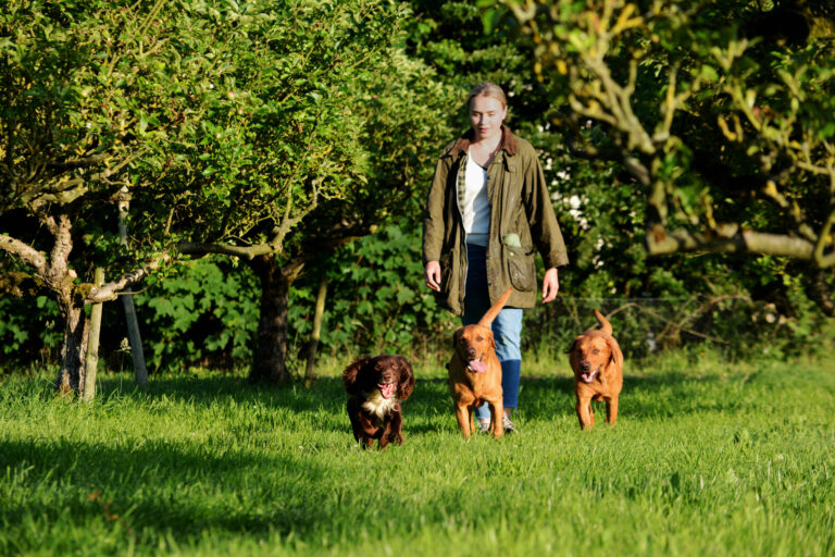 1923 23d106d79635ab6a894cd98a5cd9287b 1 768x512