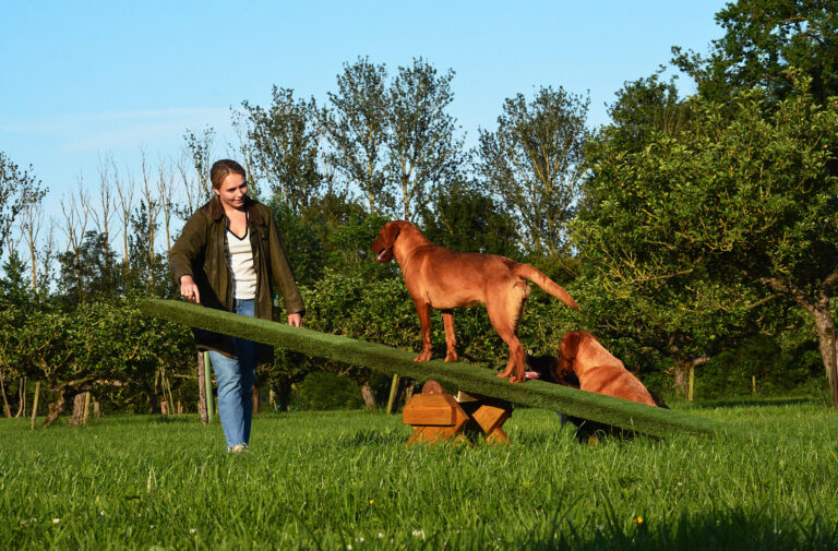 1923 2c7dd76f39a682f6e51f17ef1a86e079 1 scaled 768x505