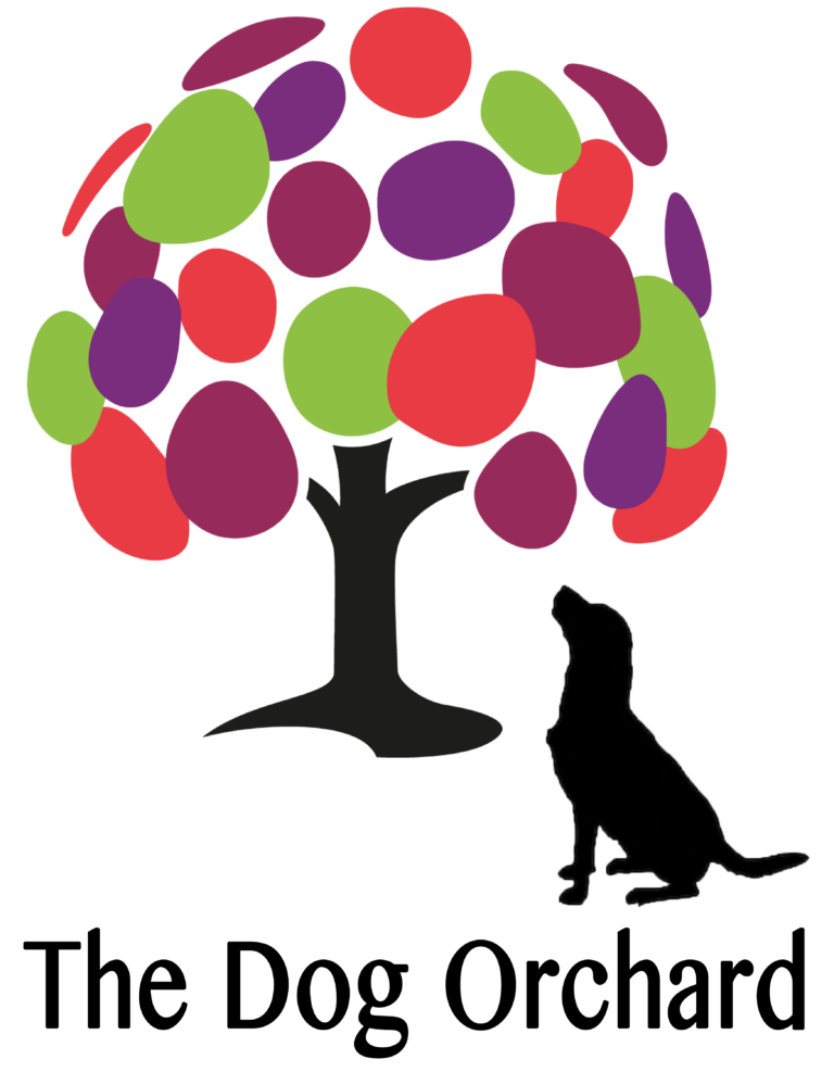 1923 9a9d2f41c751b0443db889c4c9922980 1 768x987