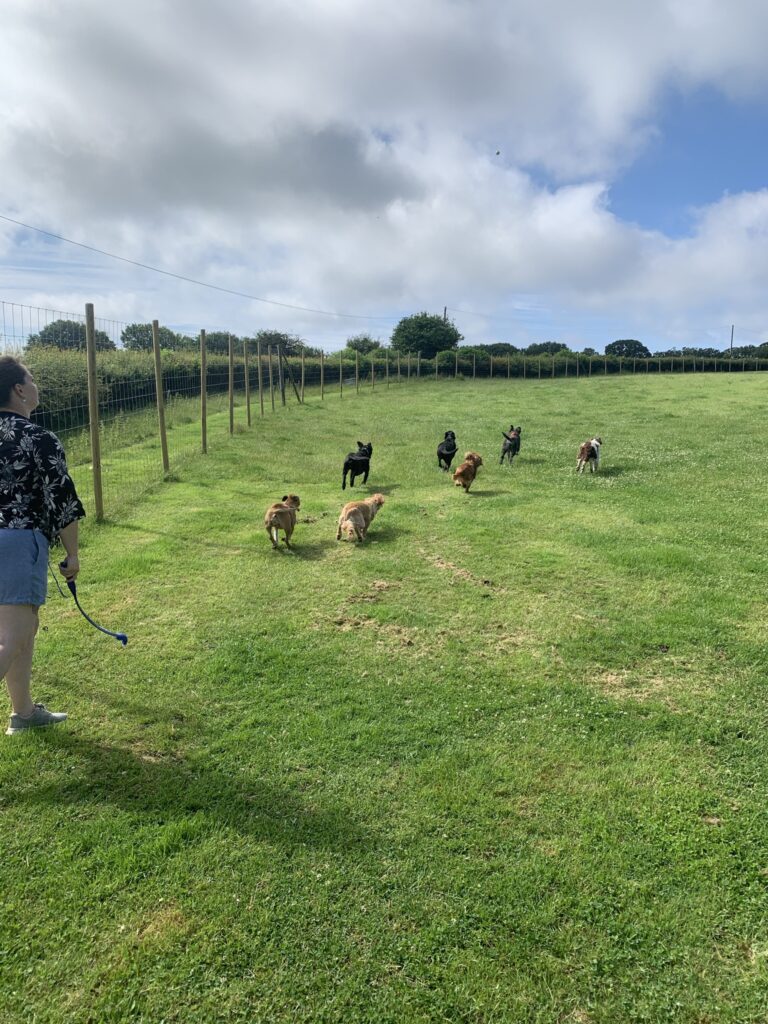 1924 fd0c4707178d74ee183e3959bfd98b79 1 768x1024