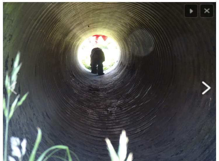 1926 09680b12e89751cffe7bf926694a8b94 1