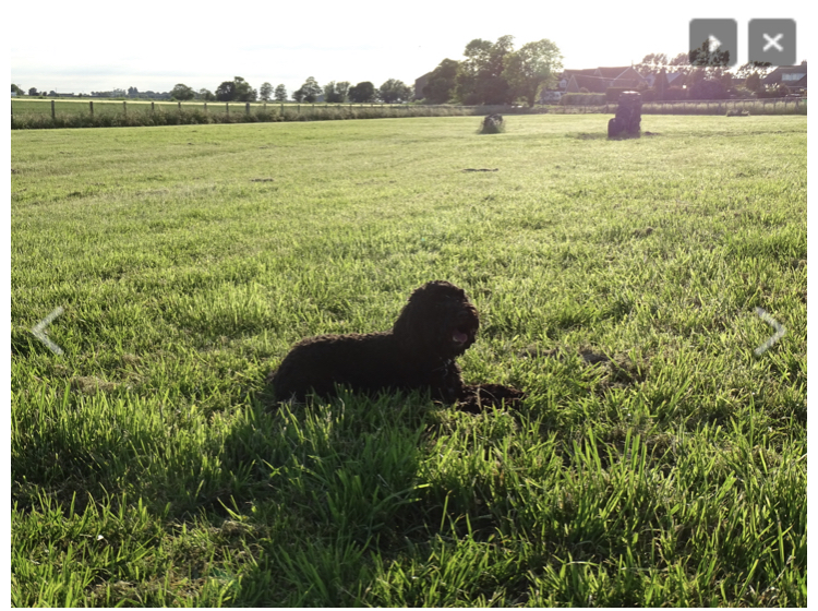 1926 29f72b64f33d1741b28993bc7968b702 1