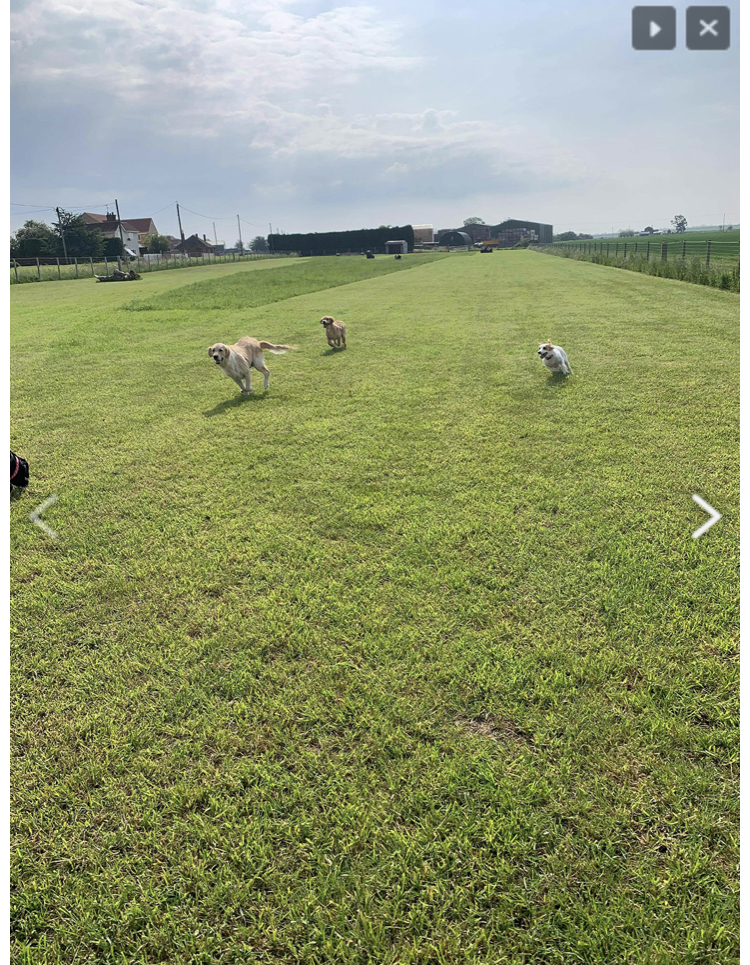 1926 a1e2995209c7d04a495a75e0ceef9d8c 1