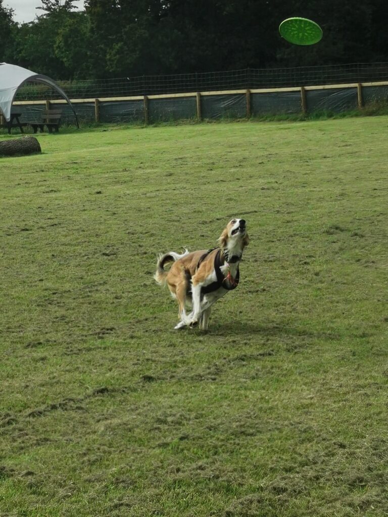 1927 0851282273fe755e597fba8d0ff0e932 1 768x1024