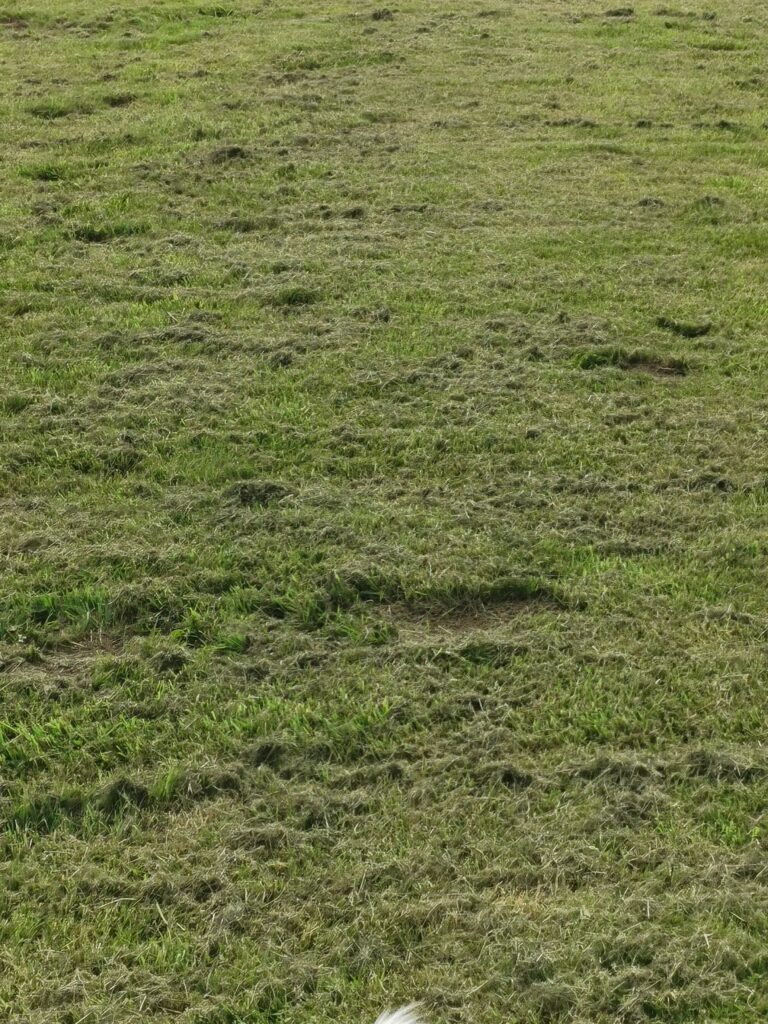 1927 2877c7ffaa70f320f4c74d223b1ff570 1 768x1024