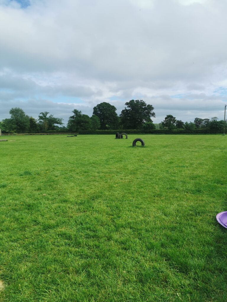 1927 2884f580c58fe8b782a99e1a3b1bc380 1 768x1024