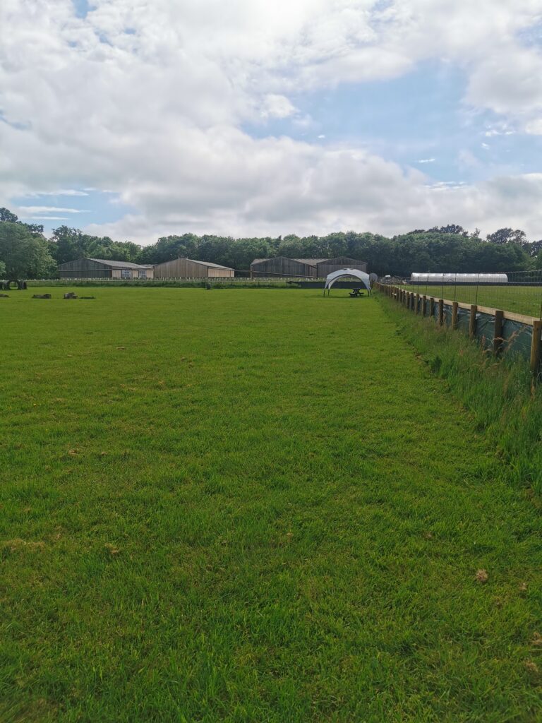 1927 2c3fd68341cd5511504ab5608898de10 1 768x1024