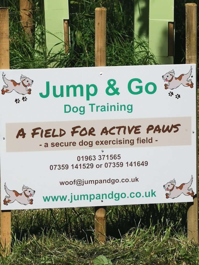 1927 36d077ca3a16c956a51b72bea249895d 1 768x1024