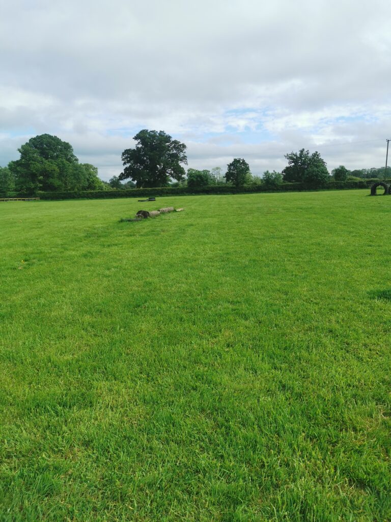 1927 4db753b544456ca36c55d1ab596af737 1 768x1024