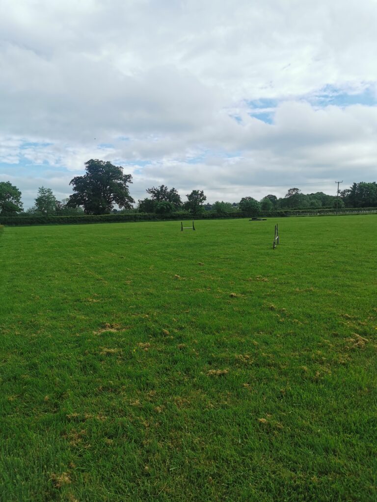 1927 94c66189e5d9809dac6b1ea73915e3a3 1 768x1024