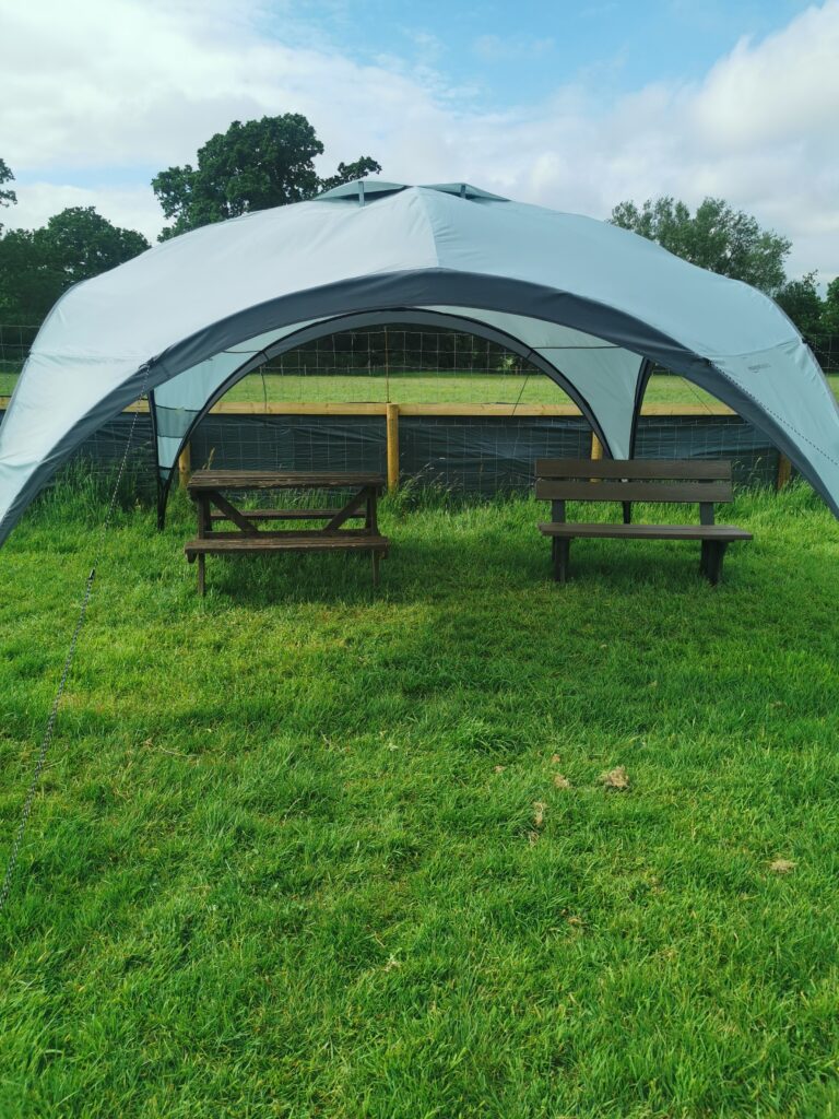 1927 9b9e4680e4697367d602413a3c5f67ab 1 768x1024