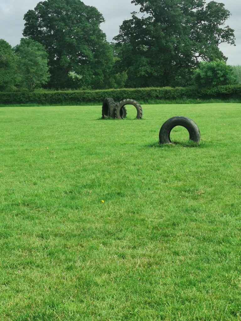 1927 a00f5ffa1d310ad90905e7483ae336b1 1 768x1024