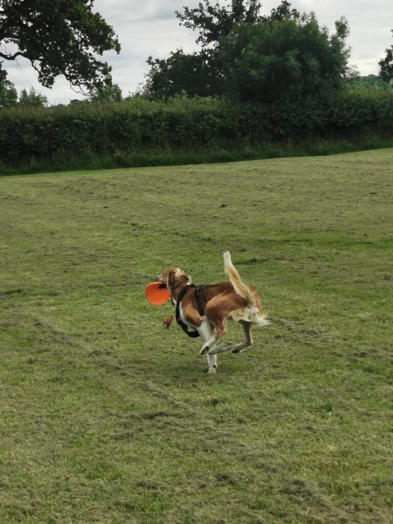 1927 fe573fc7a519b6c712e04a8061ae820c 1 scaled 768x1024