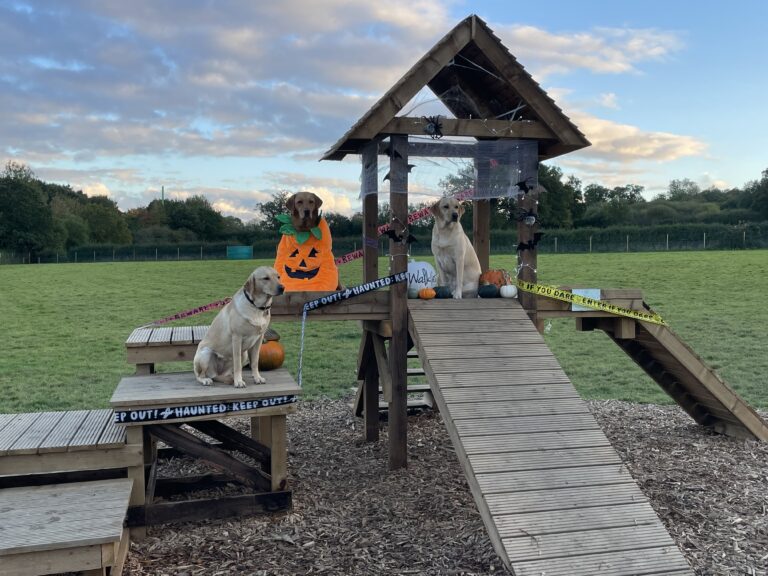 1928 457fb6dd6a01024f5a7a639617c3c4c7 1 768x576