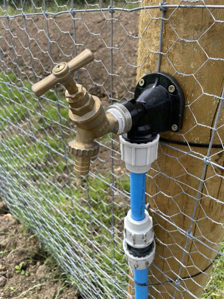 1928 ace7fff47b8be59a4f537d46a7af96c4 1 768x1024