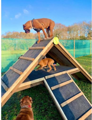 1929 2e5e8b20d28008a26df4196d487735fc 1