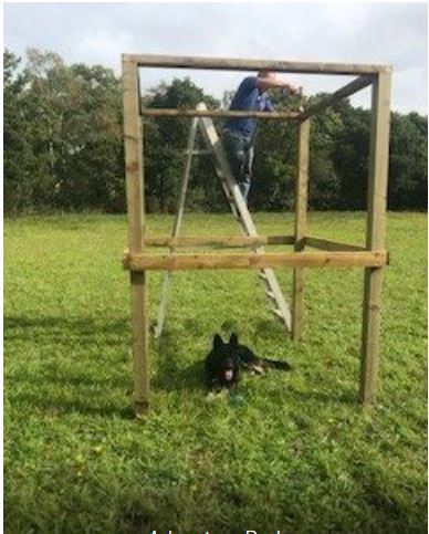 1929 9e8b1854ed9c009e863c83f35c71dc6d 1