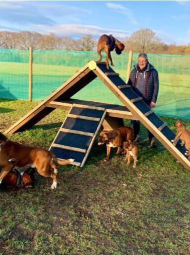 1929 c1afa83fbc666929979d790ff2c91519 1