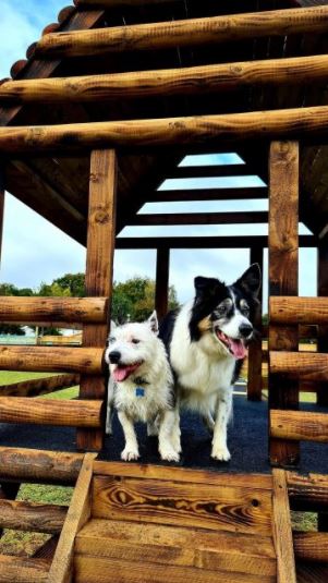 1929 dab88eddac4629ffeb9f96f1db35cd1e 1