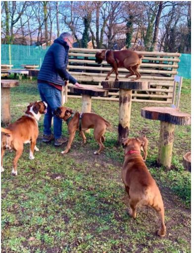 1929 ecffd6f52243182bf5461b7ecf108ae0 1