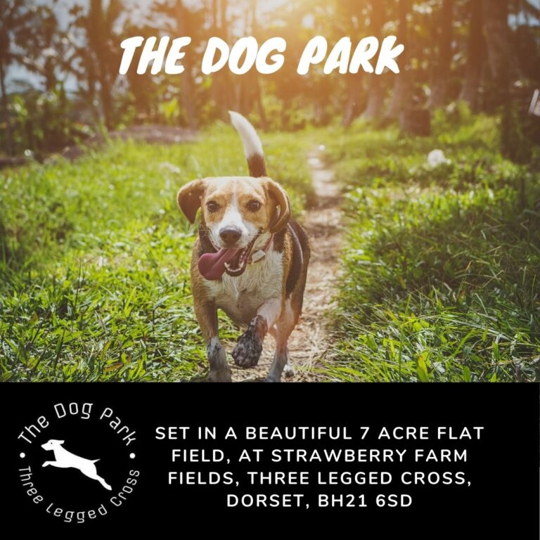 1929 f2cbf4c85b1beb1ae8c81ea647888bbf 1 768x768