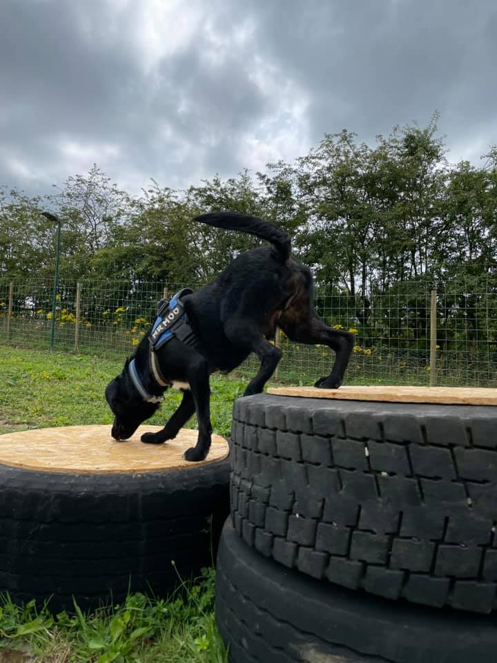 1930 0880316c92815be1ac7167a51c62d49e 1