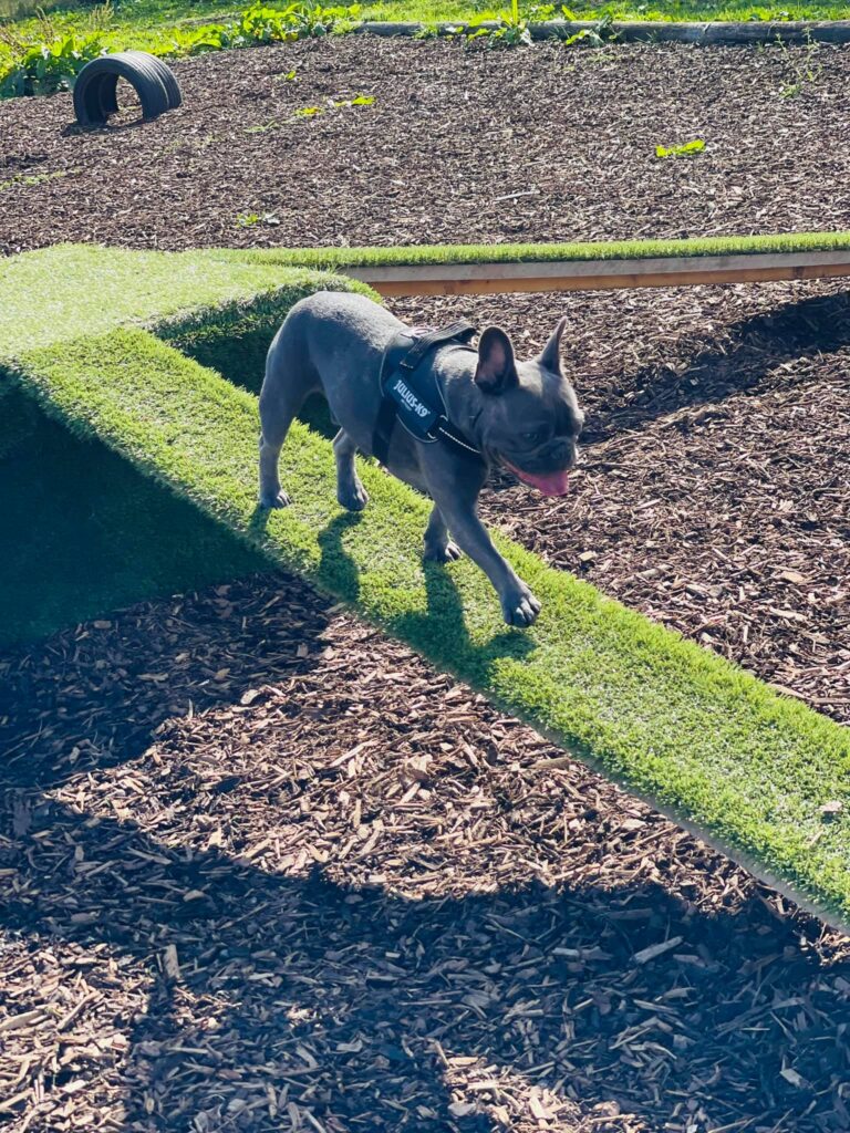 1930 17bdc409c97ae27695de11d9da5949b7 1 768x1024