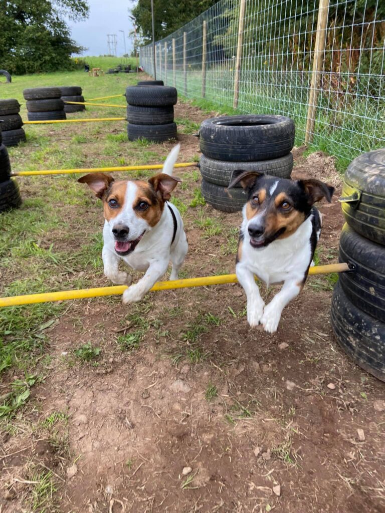 1930 215c80f9ef56e9a0b3951488f9cb31d4 1 768x1024