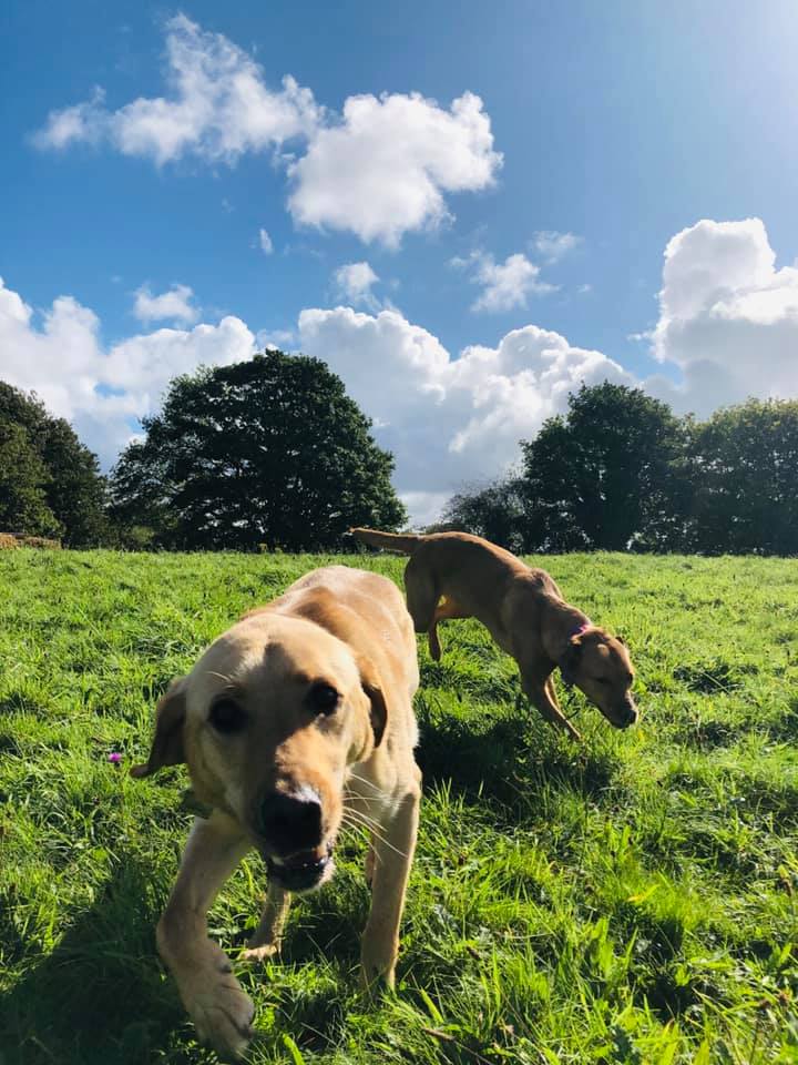 1930 23cb09e1ebb623e271f930df6f47cd8d 1