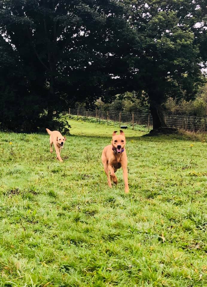 1930 2a51e7f12df8e167b0667bc755f8e96c 1