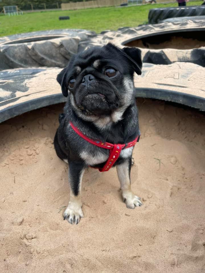 1930 3cf91ef5ecbfdbfebef79449880b11da 1