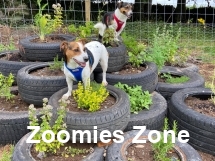 1930 4502d7d2991390528755a5d7e01afacb 1