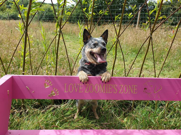 1930 46e3bc6f3f1b2da445ce9e6766bff72a 1 768x576