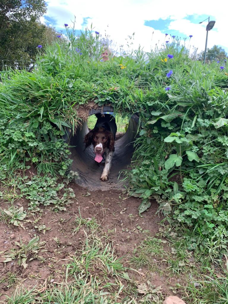 1930 4b965b89ae9e0736afc6977f59017574 1 768x1024