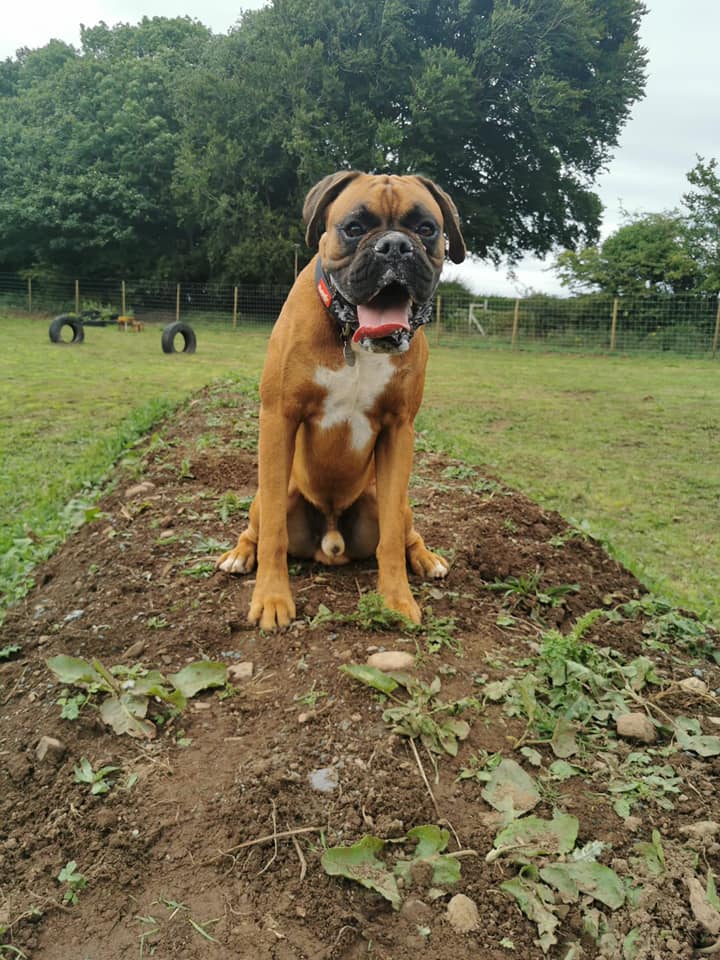 1930 63e7ec7543a1589a55fcd3f227b2e304 1